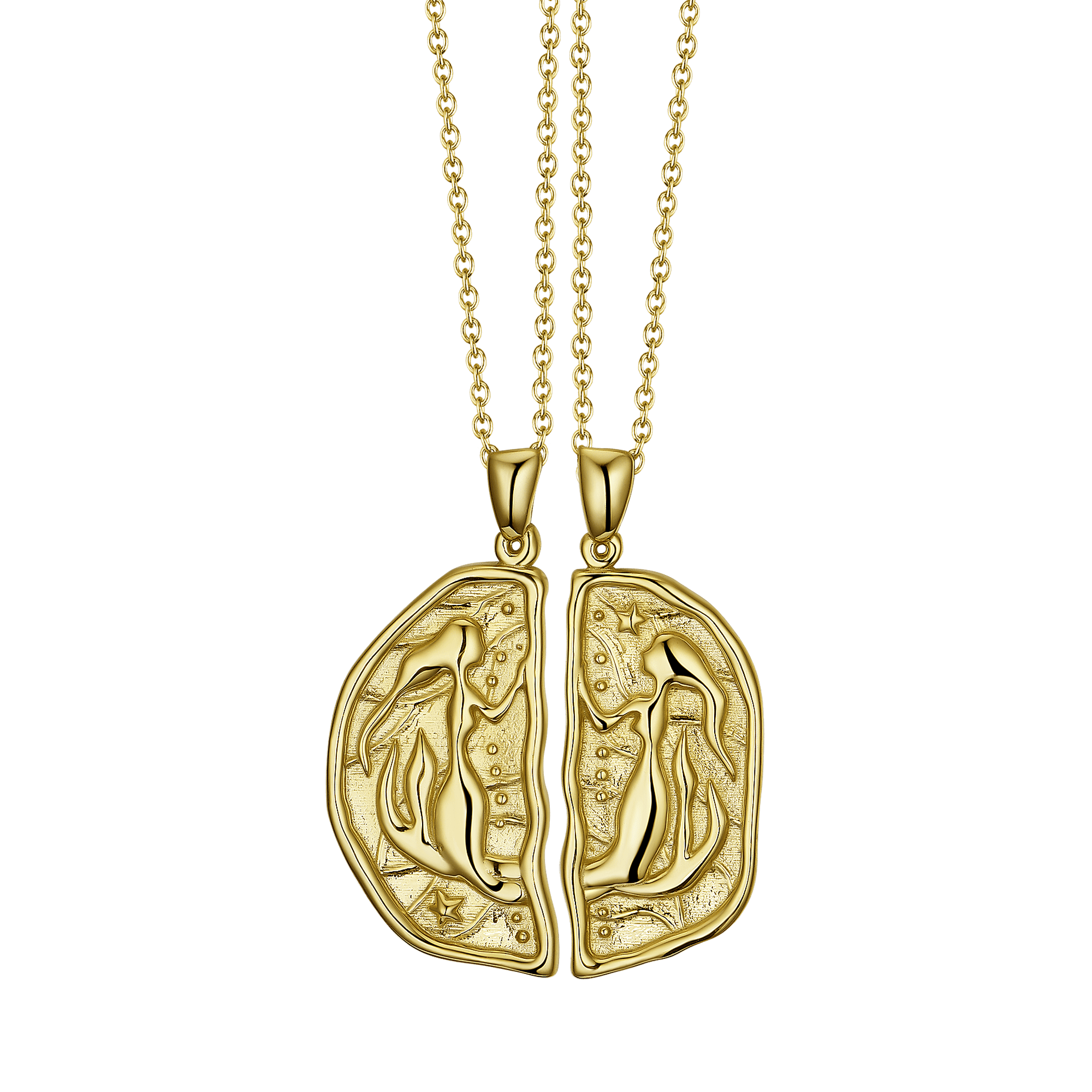 Sister Necklaces Lion Wild