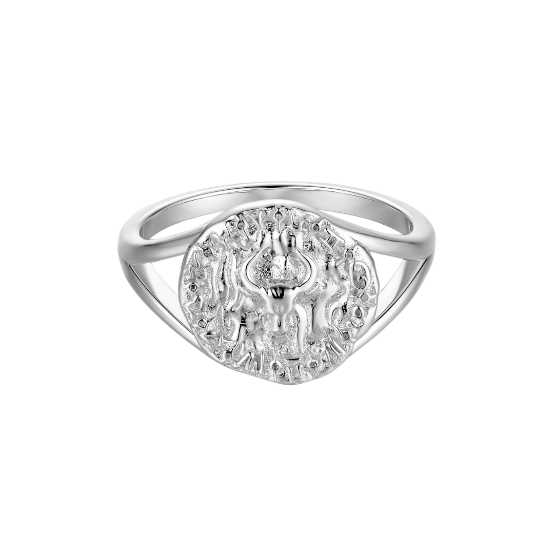 Zodiac Rings