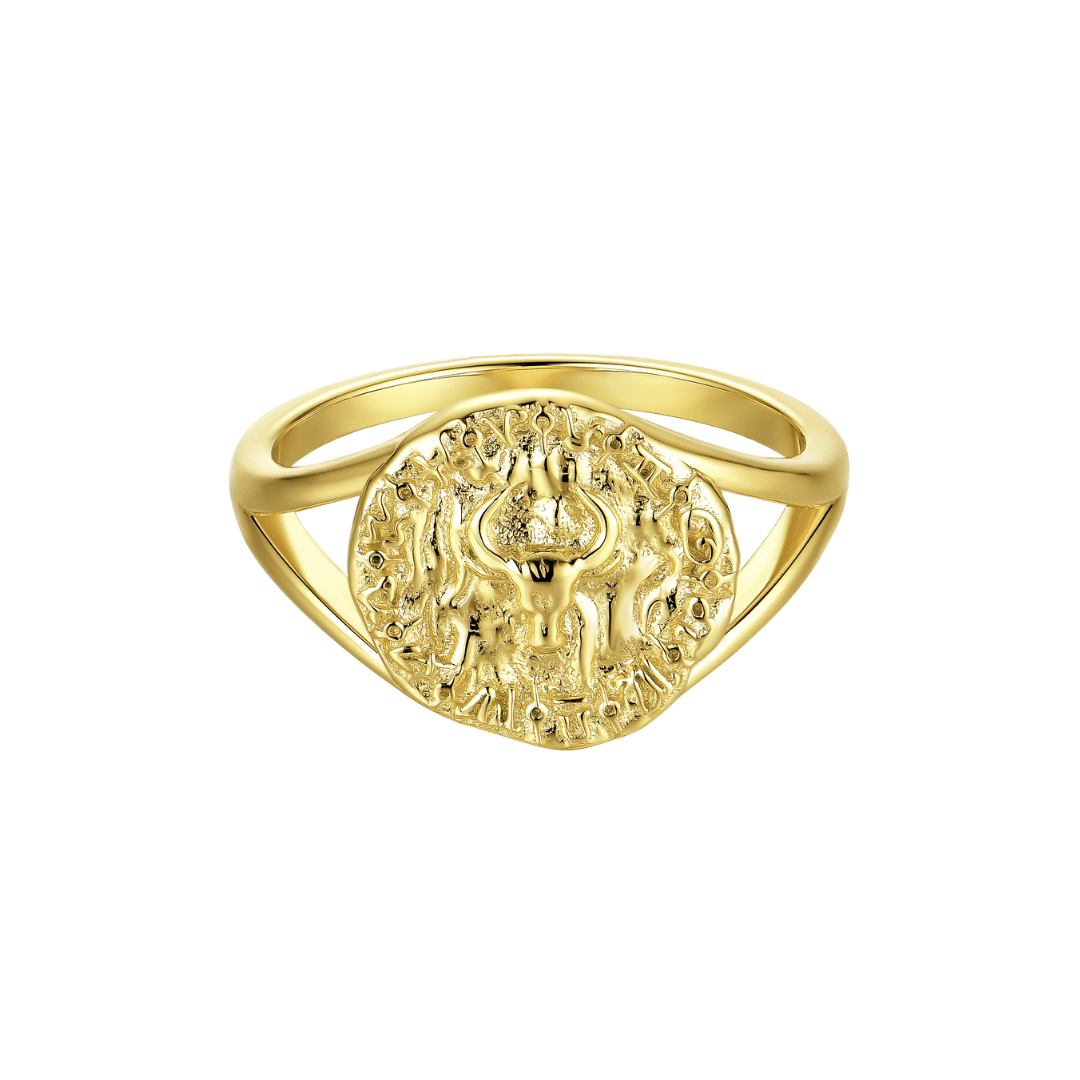 Zodiac Rings